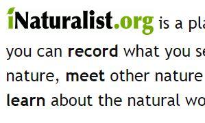 iNaturalist at MLBS