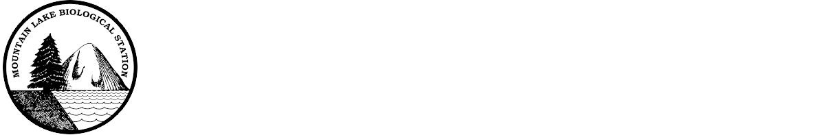 MLBS logo, UVA