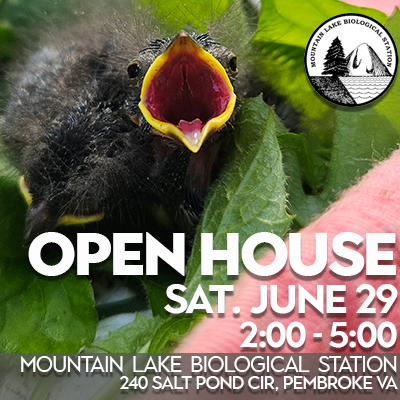 Annual Open House: June 29, 2024