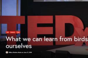 MLBS researcher gives TEDx talk