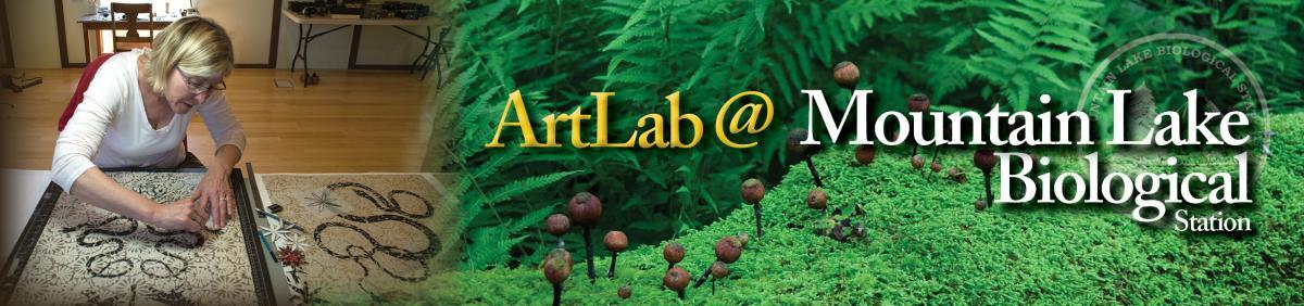 ArtLab, UVA MLBS