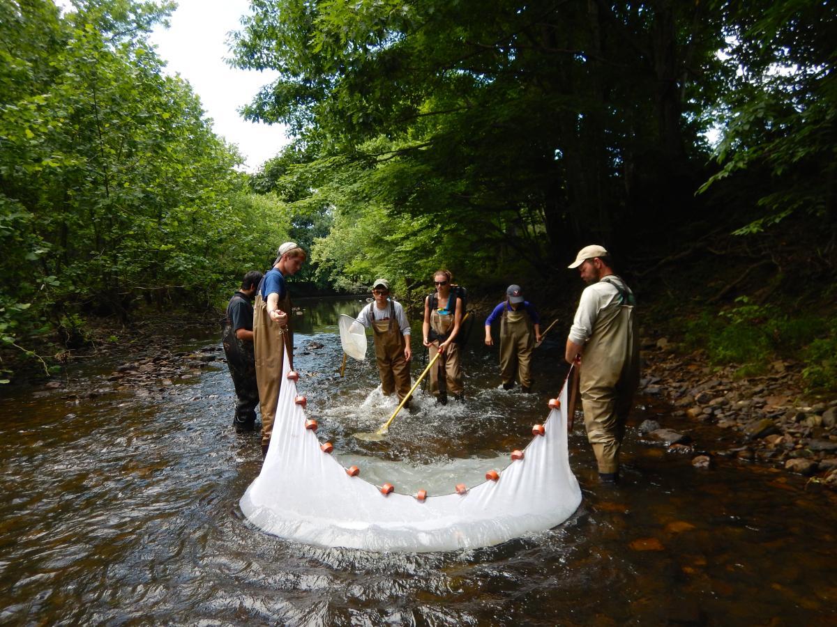 FIELD BIOLOGY OF FISHES