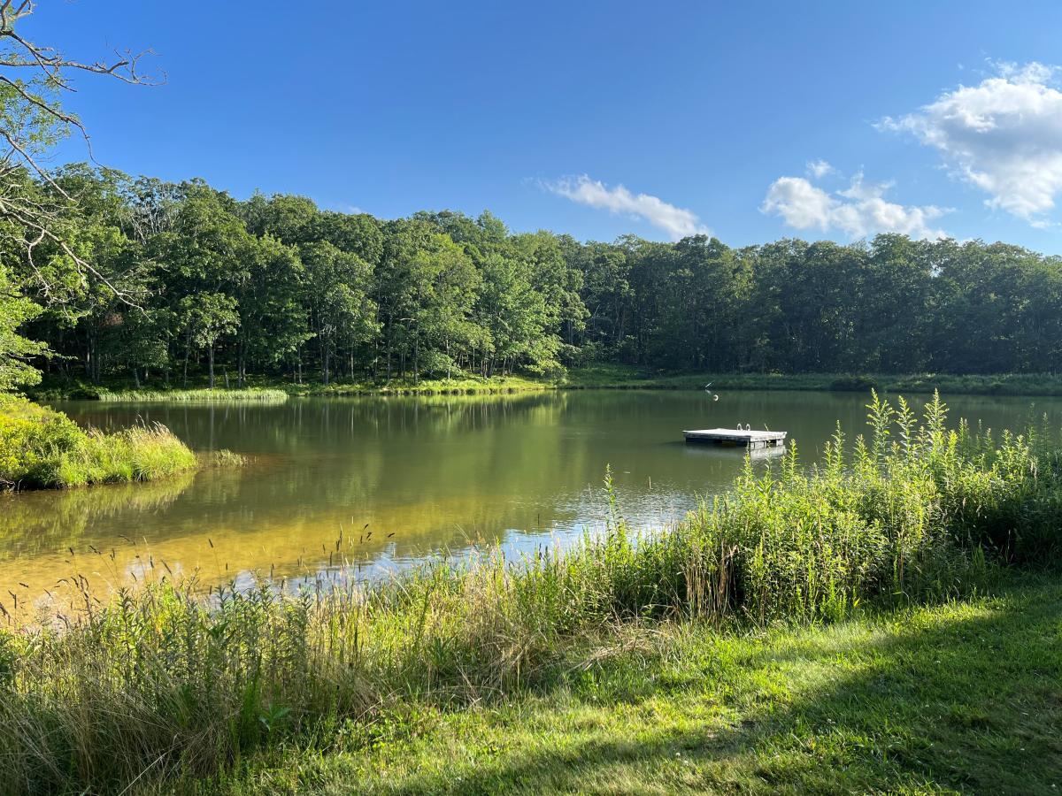 Pond Rissler