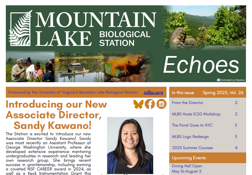 Screenshot of the Spring 2025 newsletter