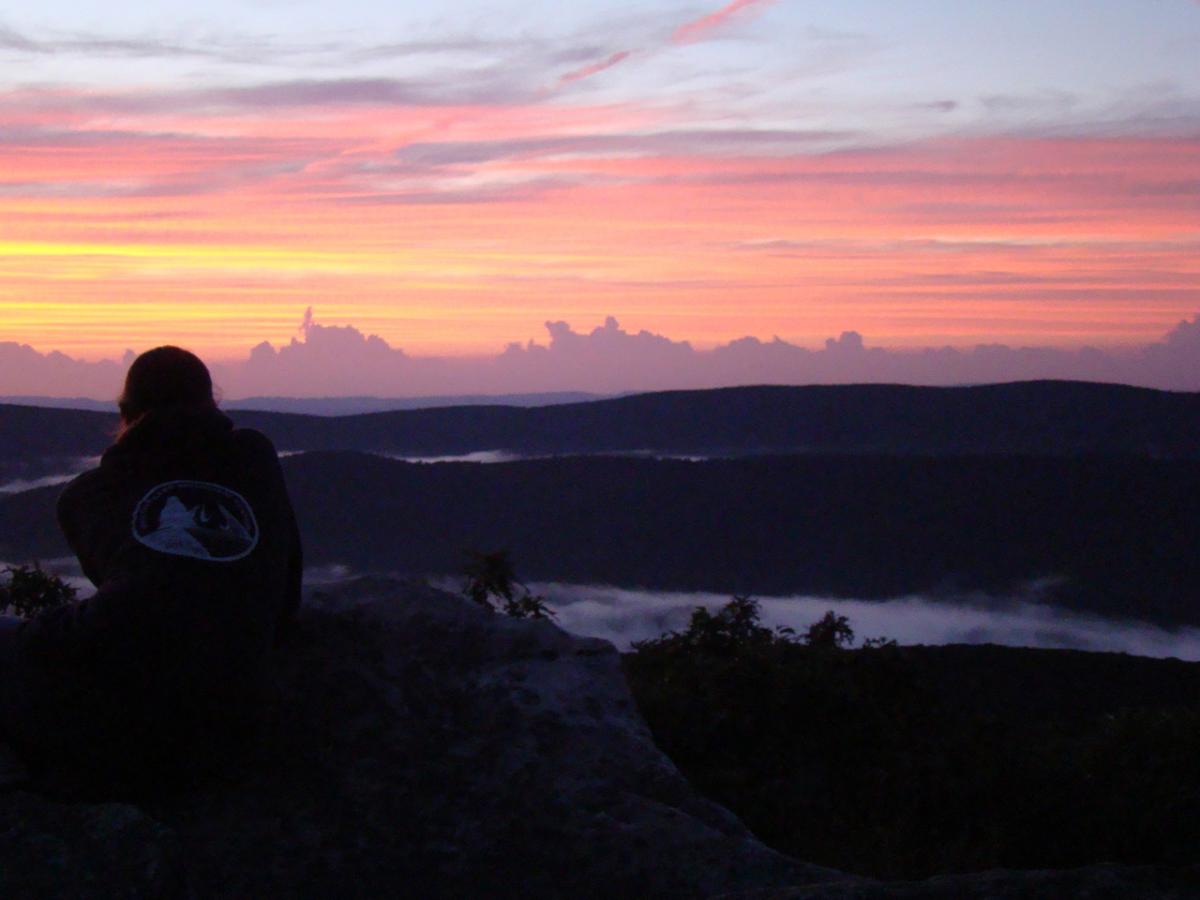 Green Frog  Mountain Lake Biological Station, U.Va.