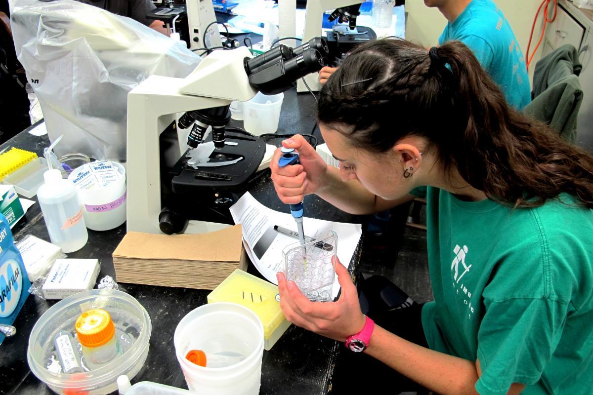 Use of Vertebrate Animals in Research and Teaching