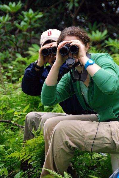 Want to work at MLBS?